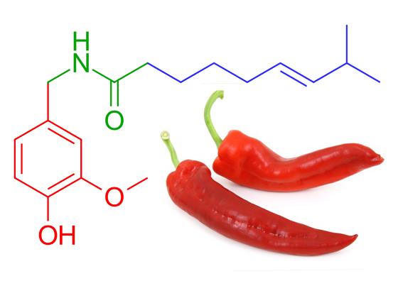 Capsaicin.png