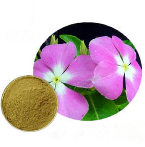 Madagascar rosy periwinkle powder.jpg