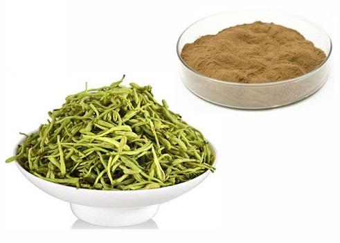 Flos Lonicerae extract.jpg