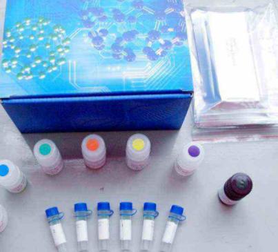 胆碱/乙酰胆碱检测试剂盒