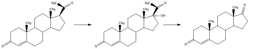 	睾酮的生物合成1