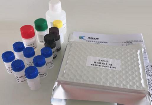 Human histone H2B (HISTON-H2B) ELISA kit.png