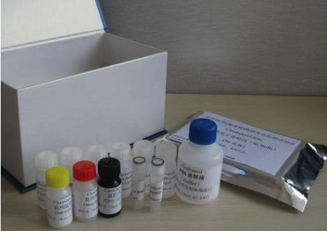 人组蛋白H2B(HISTON-H2B)ELISA KIT