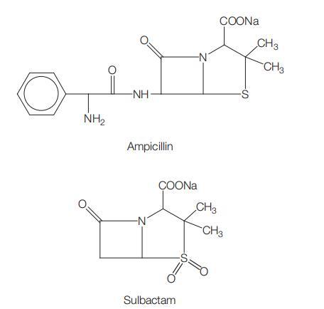 Figure 15.1.jpg