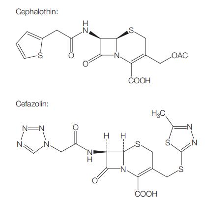 Figure 18.1.jpg