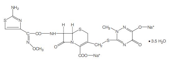 Figure 27.1.jpg