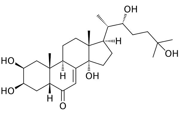 Prothoracicotropic hormone.png