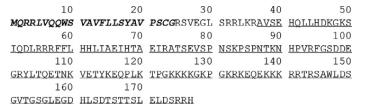 Structure of PTHRP