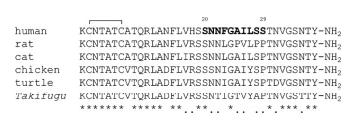 Structure of Human AMY