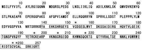 Structure of NT-3