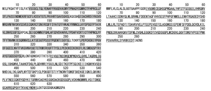 Gene and mRNA