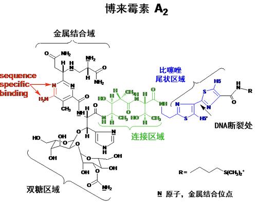 博莱霉素 化学结构