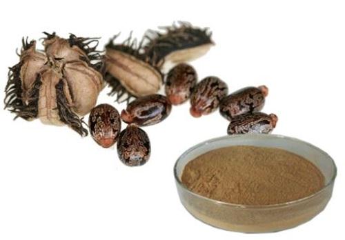 Castor bean extract.jpg