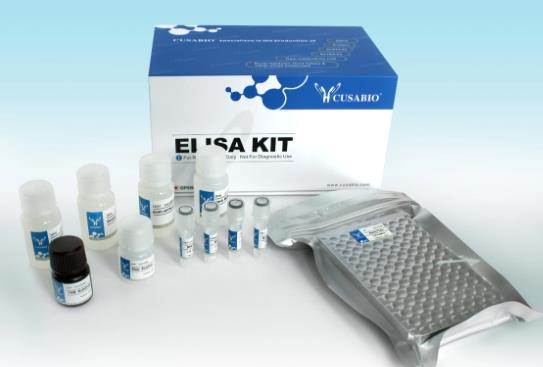 人纤维连接蛋白(FN)ELISA KIT的应用