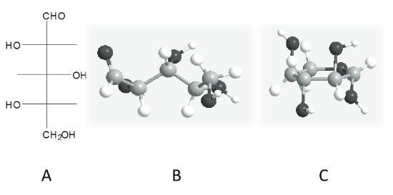 alpha xylose