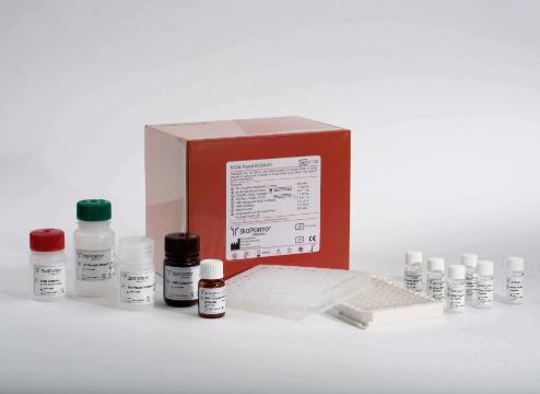 小鼠对氨基苯甲酸(PABA)ELISA试剂盒的应用