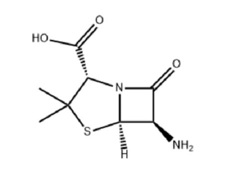 6-APA的结构式.png