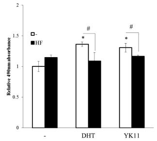 Effect of YK11 on Osteoblast Proliferation