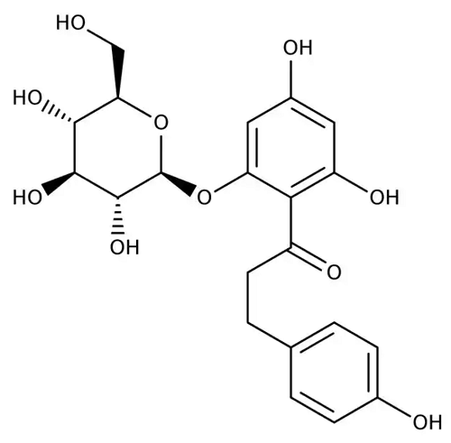 根皮苷的来源与功效