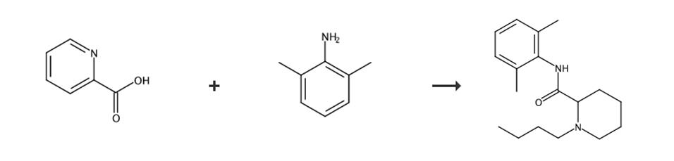 图1 丁吡卡因的合成路线[2]。