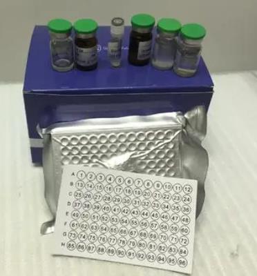 猪表皮生长因子(EGF)ELISA KIT