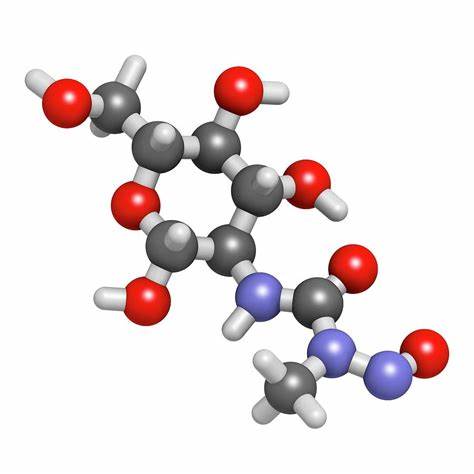 链脲佐菌素（STZ）诱导的糖尿病疾病模型