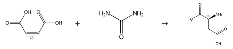 图2 L-天门冬氨酸的合成路线。