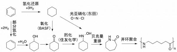 己内酰胺的化学合成