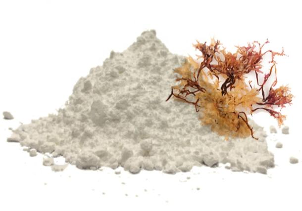 Carrageenan.png