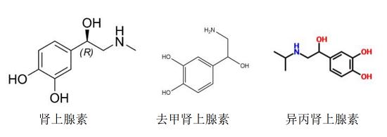 肾上腺素、去甲肾上腺素、异丙肾上腺素，用药有何区别？