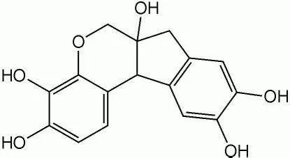 苏木精有望用于治疗骨髓性肿瘤