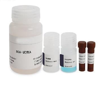 BCA蛋白定量试剂盒的应用