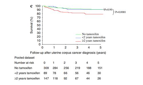 他莫昔芬与子宫内膜癌