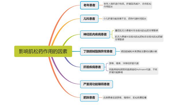 常用麻醉药之罗库溴铵