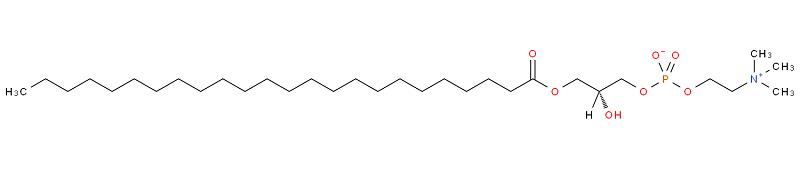 溶血磷脂酰胆碱.png