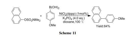 Ni催化胺基磺酸酯的Suzuki-Miyaura偶联反应.jpg