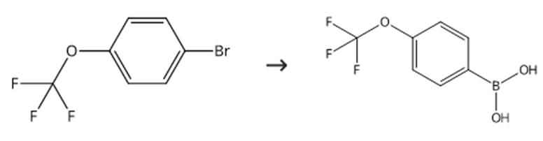 图1 4-三氟甲氧基苯硼酸的合成路线