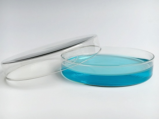 玻璃培养皿