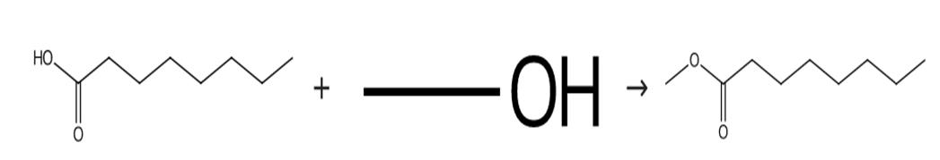 辛酸甲酯的合成
