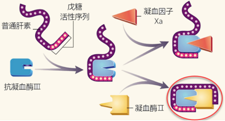 肝素钠与低分子肝素钠的区别