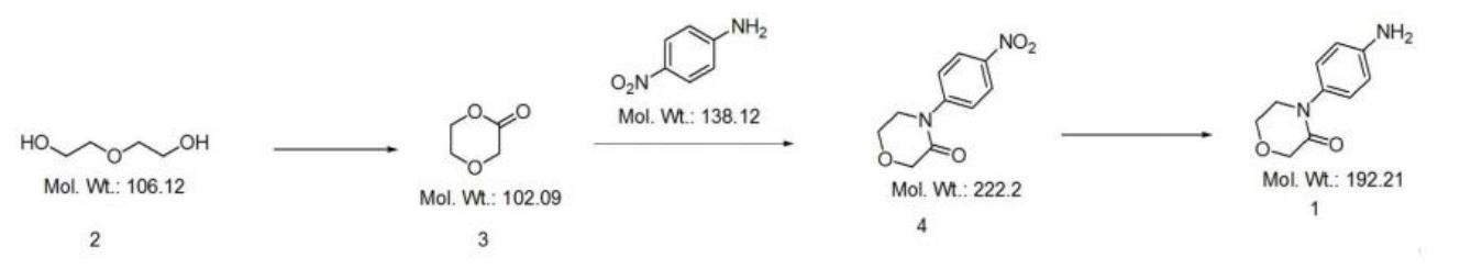 图1 4‑(4‑氨基苯基)吗啡啉‑3‑酮的合成路线图.png