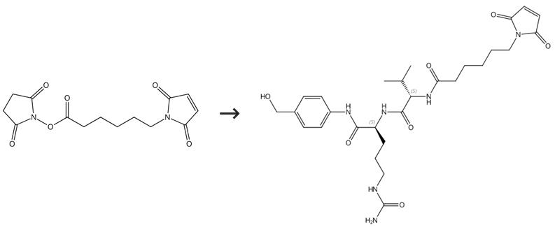6-(马来酰亚胺基)己酸琥珀酰亚胺酯的酰胺化反应