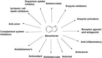 苯并呋喃的几种衍生物已被公认为生物学和药理学相关的分子.jpg