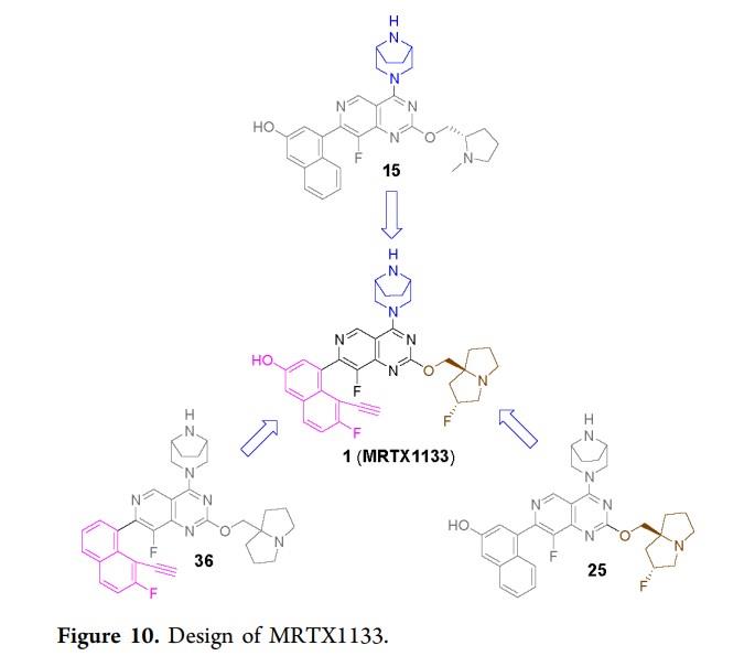 MRTX1133抑制剂的发现.jpg