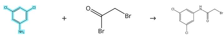 3,5-二氯苯胺参与的亲核取代反应