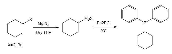 二苯基环己基膦的一种制备方法