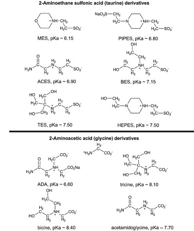 MES monohydrate