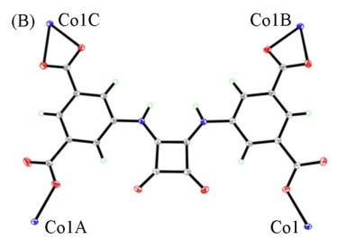 (H4L)和硝酸钴六水合物形成的配合物结构图