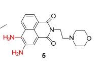 N-(2-氨乙基)吗啉合成荧光探针-2.jpg