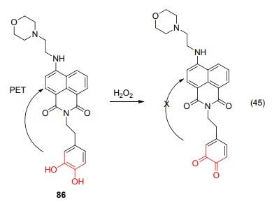 N-(2-氨乙基)吗啉合成荧光探针-3.jpg